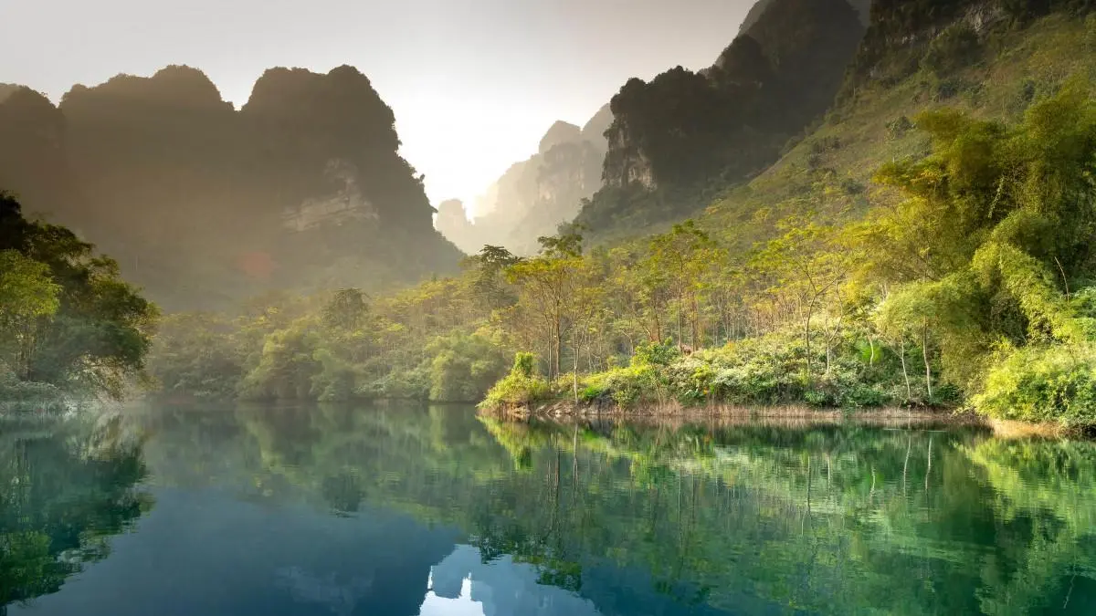 绿色环保高效